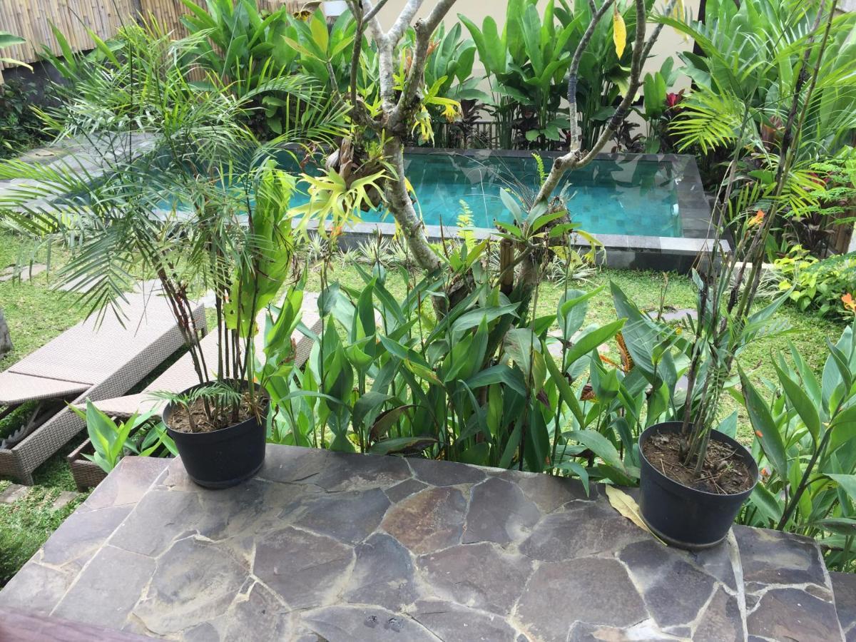 Hidden Point Villa Ubud  Exterior photo